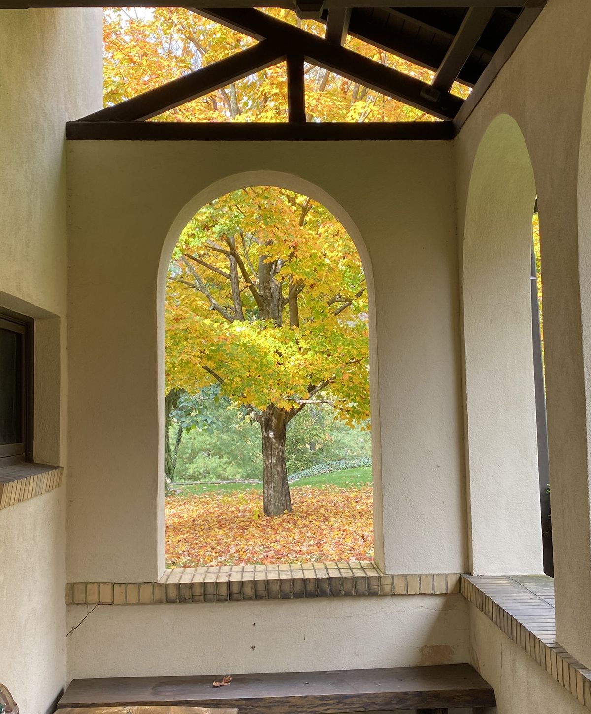 Fall at Rushmore Estate