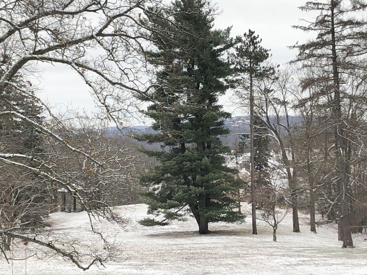 Rushmore Estate grounds in Winter